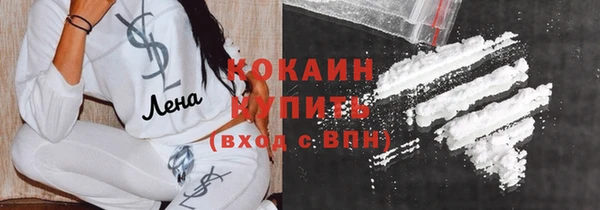 спайс Корсаков