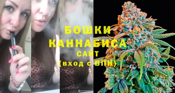 ПСИЛОЦИБИНОВЫЕ ГРИБЫ Коряжма