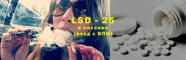 спайс Корсаков