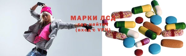 спайс Корсаков