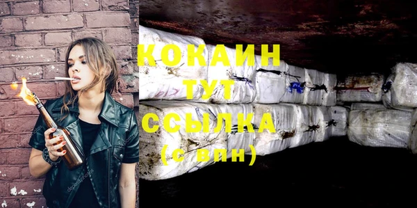 спайс Корсаков
