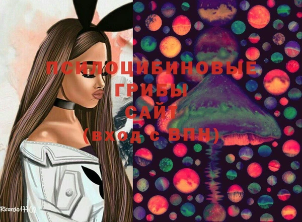 спайс Корсаков
