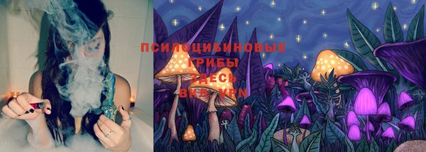 ПСИЛОЦИБИНОВЫЕ ГРИБЫ Коряжма