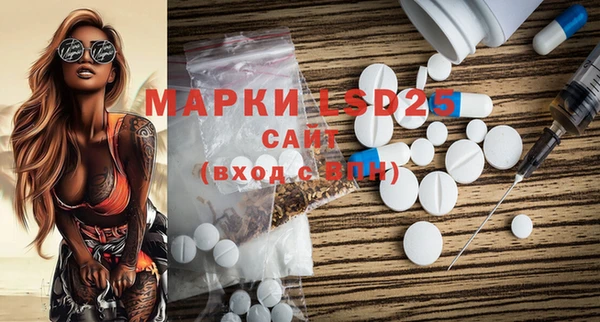 спайс Корсаков