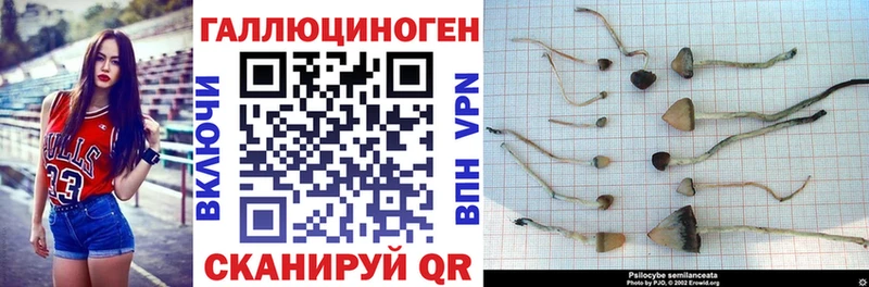 Псилоцибиновые грибы прущие грибы Нахабино